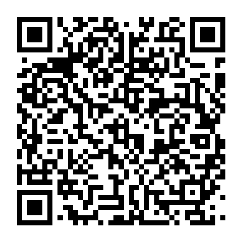 微信 · 性能版 二维码